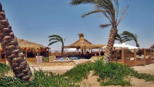 Private transfer from Hurghada Airport to hotel in El Gouna | Hurghada Airport Transfers Hurghada Airport Transfers To El Gouna