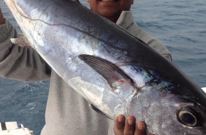 Hurghada Fishing Charters