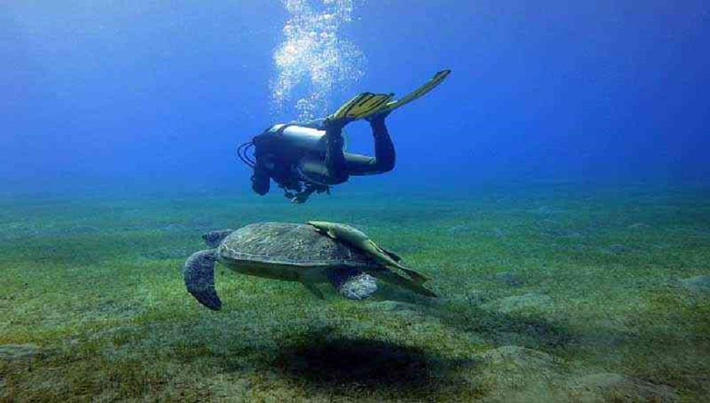 Private transfer from Hurghada To Port Ghalib