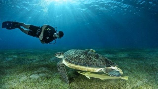 Private transfer from Hurghada airport to hotel in soma bay Private transfer from Hurghada airport to hotel in soma bay