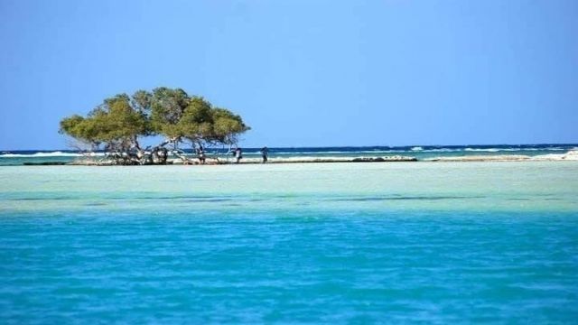 Private transfer from Luxor hotel to Marsa Alam hotel