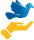 marsa alam tours